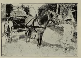 Writing back to Durrell: My “Toodles”