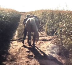 Writing back to Myrtle: How “Winkle” was Won