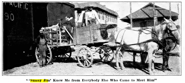 Writing back to Joey: My Dream Pony