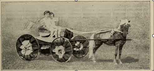 Writing Back to Bozzie, Donald, and Ernest: The Heyl Ponies