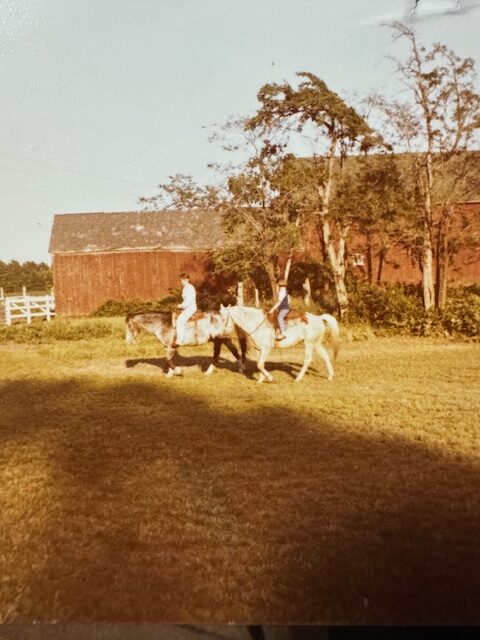 Writing Back to Elmer: Falling Off Of Ponies! (AKA getting dumped)