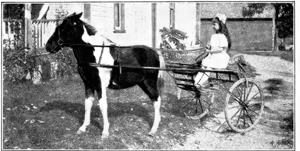 Writing Back to Anna Ruth: “Kip” and the Magic of Fairgrounds