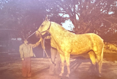 How I Met My Beloved Buttercup